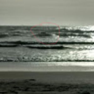 Meet your Posher, Tasha